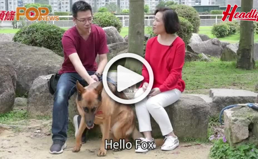 善待動物Fox & Cow  上集