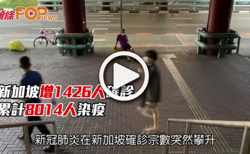 新加坡增1426人確診  累計8014人染疫
