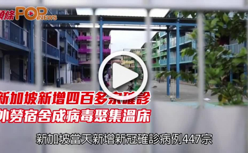 新加坡新增四百多宗確診  外勞宿舍成病毒聚集溫床