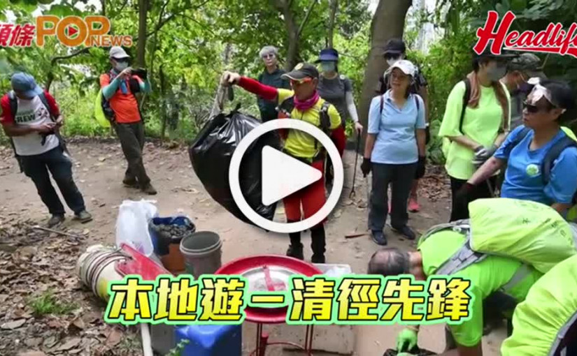 本地遊－清徑先鋒