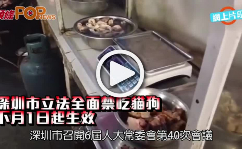深圳市立法全面禁吃貓狗  下月1日起生效