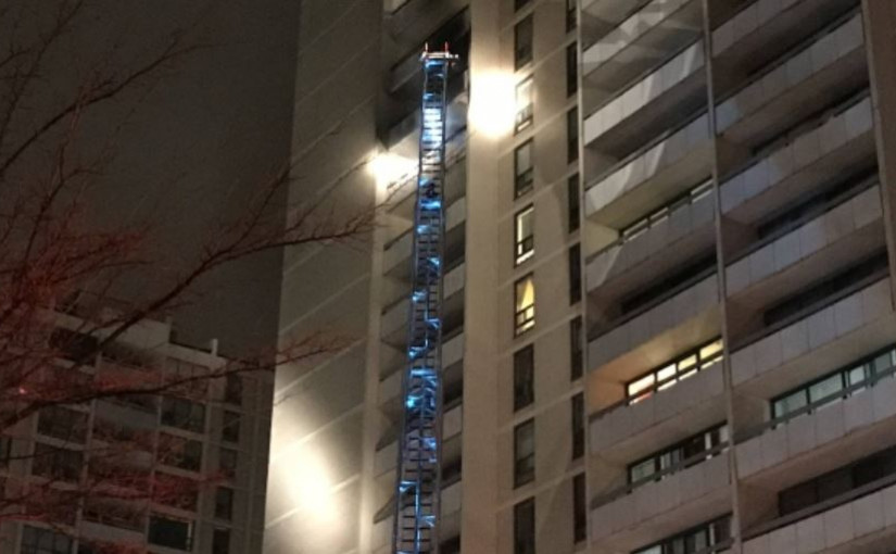 多市柏文2級火 6人1狗暫不能回家