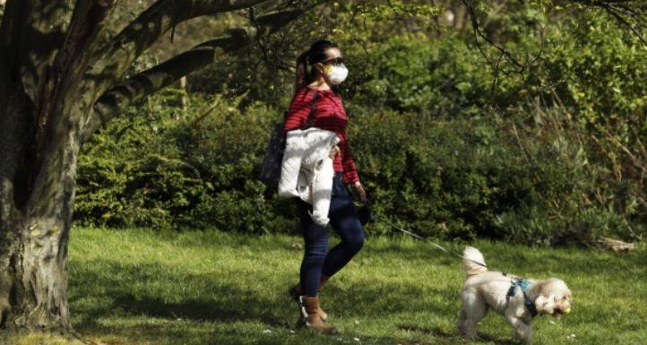 市府為狗公園重開作準備 莊德利望福特周四公布