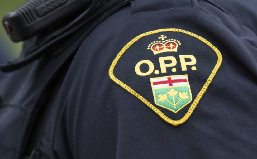 士嘉堡男子截查期間毆打省警被捕