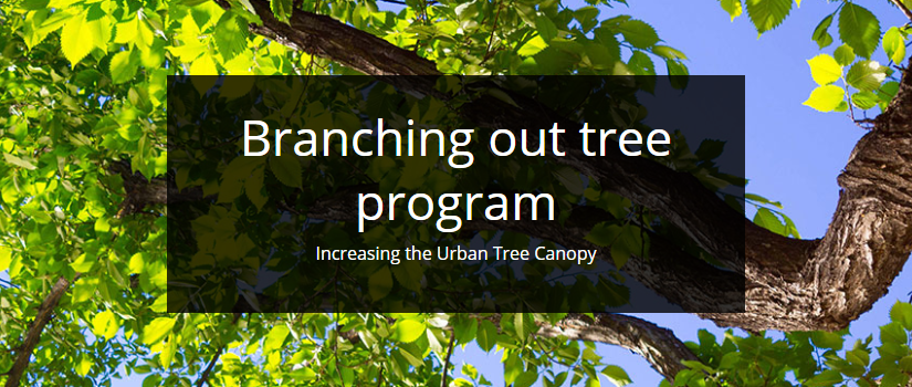 卡城植樹計劃開展 免費贈送樹木