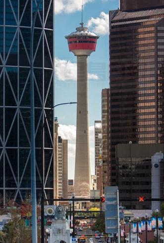 卡加利塔對電梯維修公司提出700萬訴訟