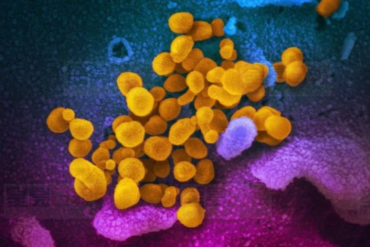 近半數加拿大人相信新冠肺炎陰謀論