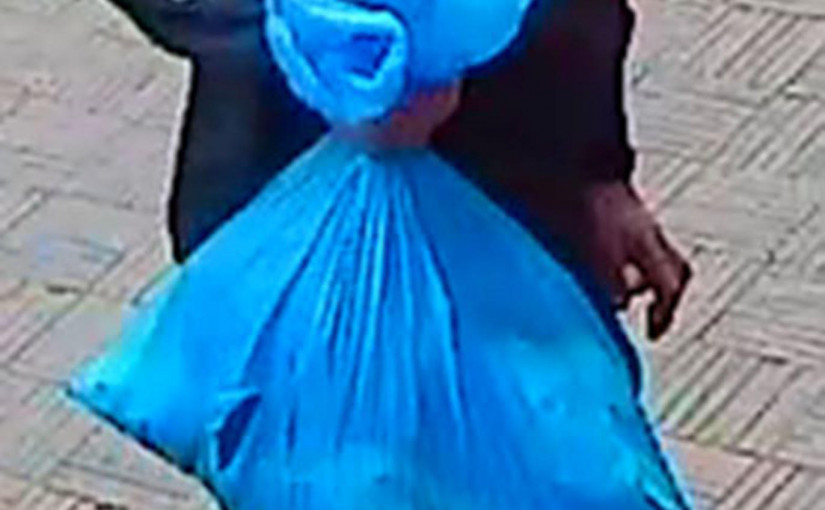 涉嫌破壞大溫哥華中華文化中心的疑犯容貌曝光