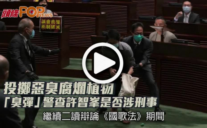 投擲惡臭腐爛植物「臭彈」  警查許智峯是否涉刑事