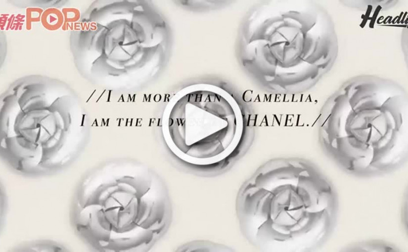 榕榕教你自製立體山茶花