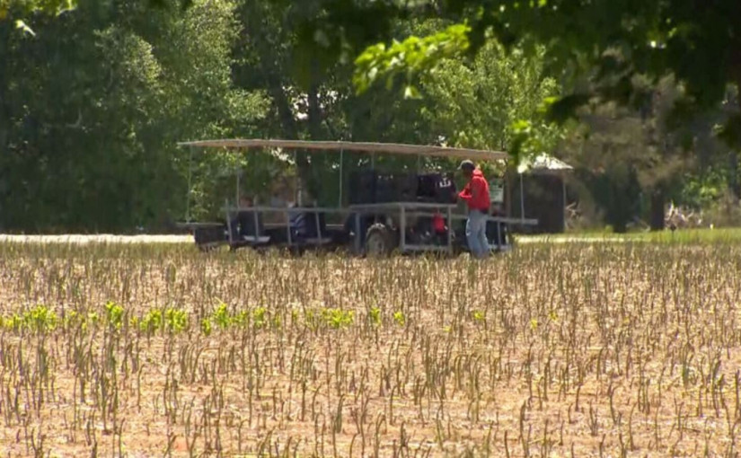 【更新】安省西南部農場164外勞染疫