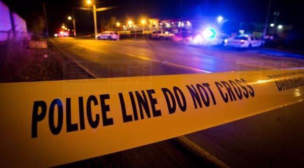 北約克發生開槍案 有子彈射入民居