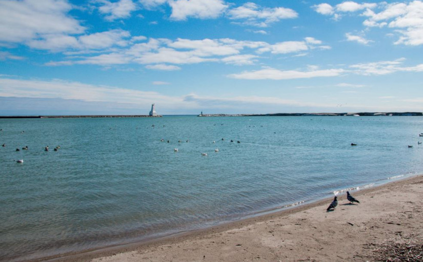 安省部分湖灘夏季續關閉