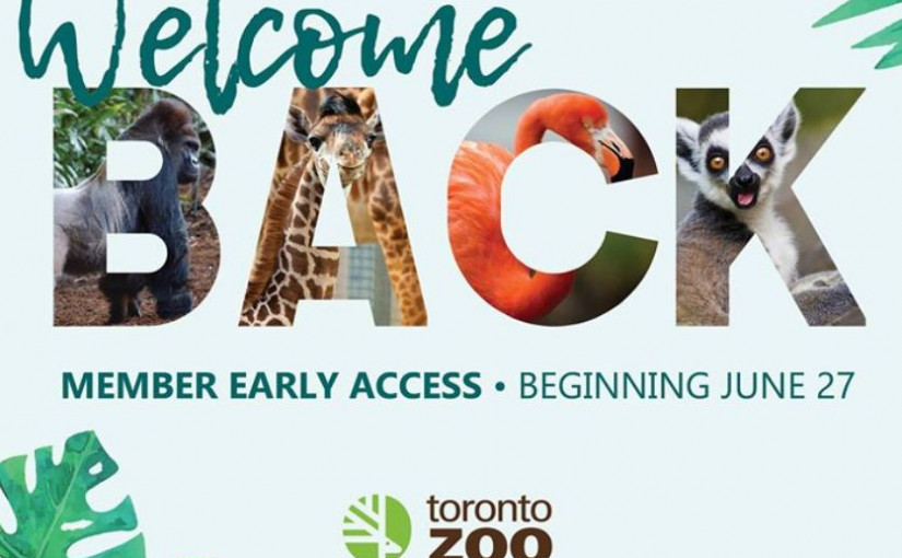 多倫多動物園周六重開