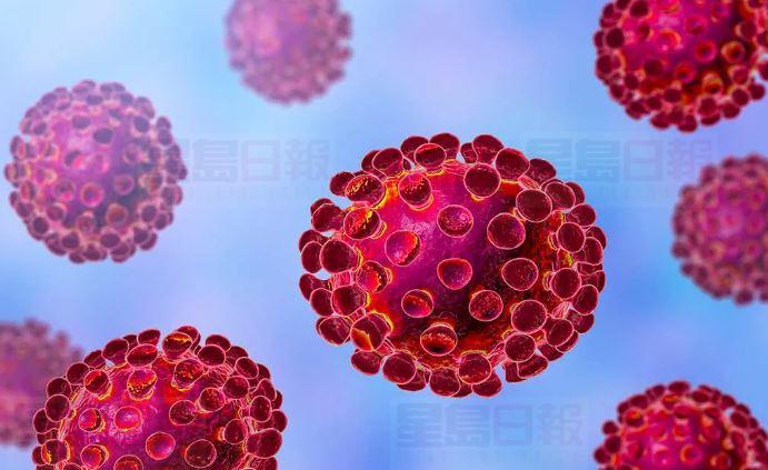 魁省疫情續好轉 新染疫人數連續7天少於300