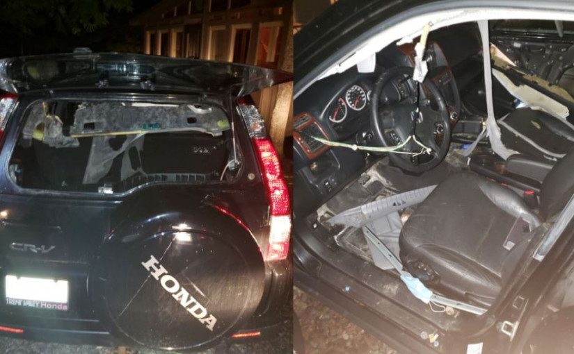 逾10輛車遭連環爆竊 疑犯為1隻熊