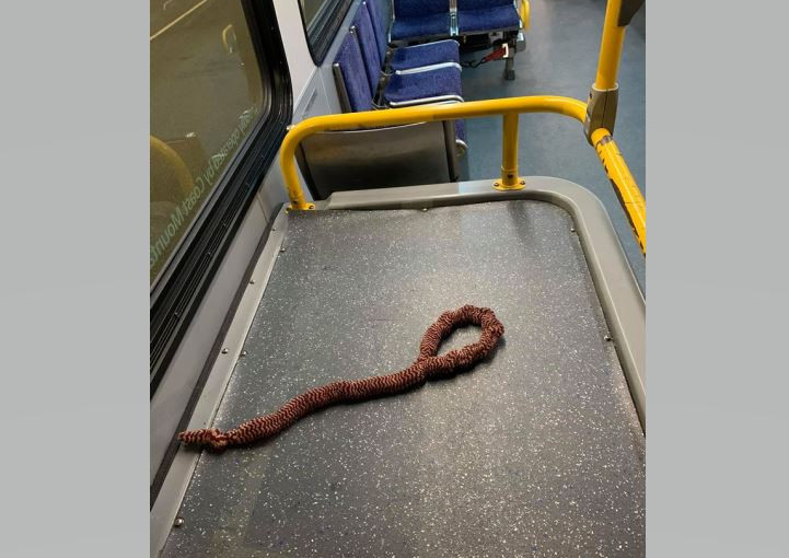 巴士司機遭種族歧視 乘客叫他拿絞索去上吊