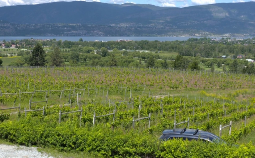 如何安全地在卑詩省內享受旅行？