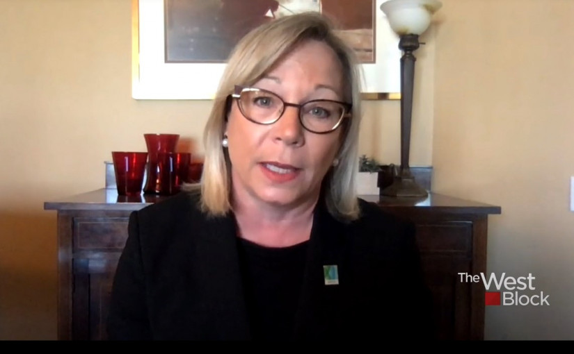 安省長期護理協會行政總裁：護理院亟需解決第一波疫情帶來的問題