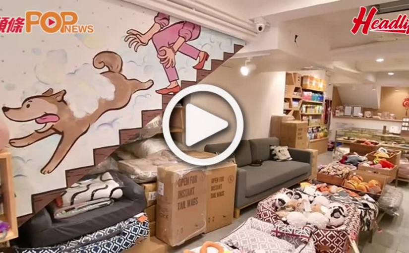 HappyLife動物新手爸媽毛孩新手爸媽必買用品？