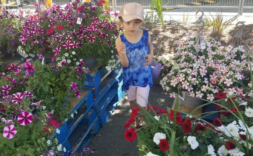 【更新】素里市失蹤的5歲女童已安全尋回