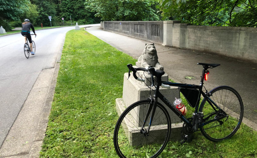 史園下周將重開汽車道 需與單車道共享