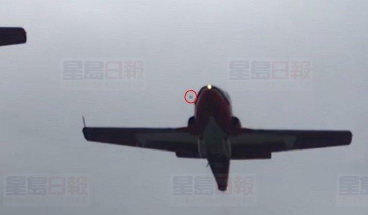 雪鳥墜機初步調查顯示   飛機疑遭飛鳥撞擊