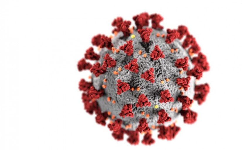 皇家騎警提醒公眾留意 有騙徒利用疫情騙財
