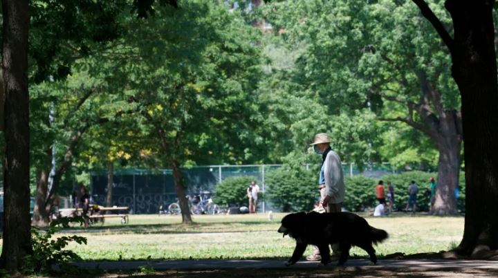加拿大新増232人新冠肺炎病例