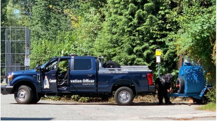 滿地寶近日發生兩宗遇到黑熊事件 保育人員正尋找該黑熊