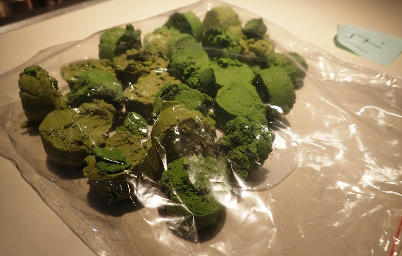 溫市搗毀製毒工廠男女疑人被控