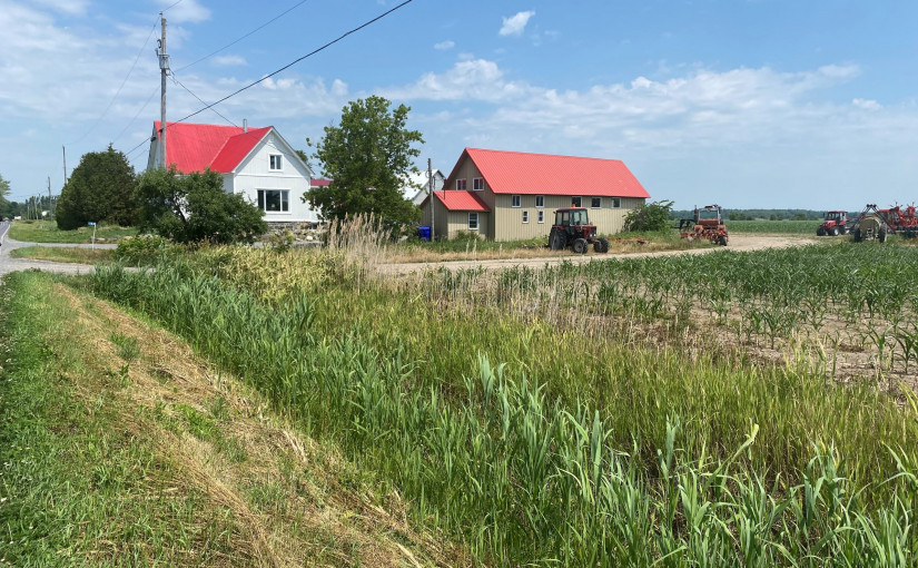 魁省小鎮拖拉機事故 三名兒童慘死