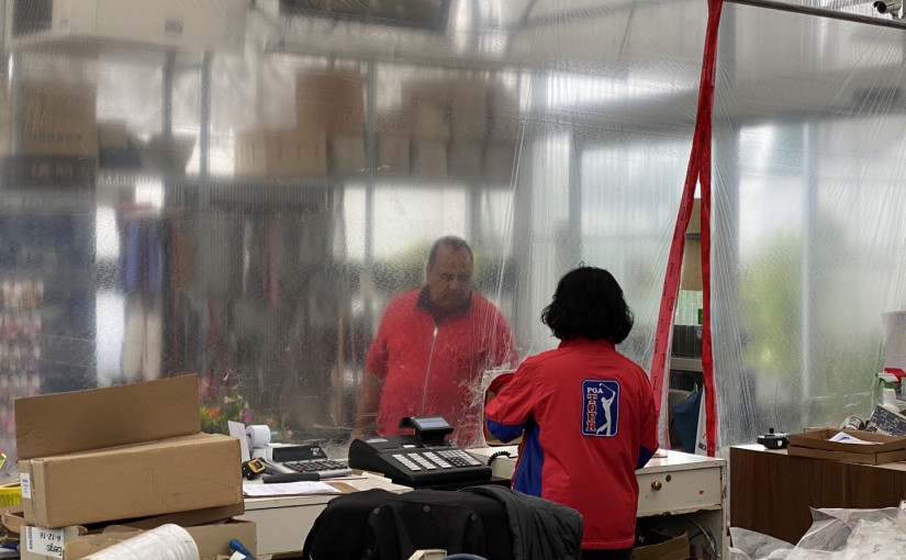 新冠疫情令各行業大受打擊 唯園藝苗圃則生存有道