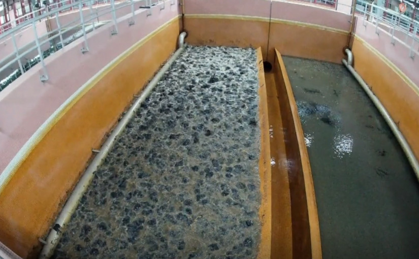 加研究人員檢測排污系統 追蹤新冠病毒