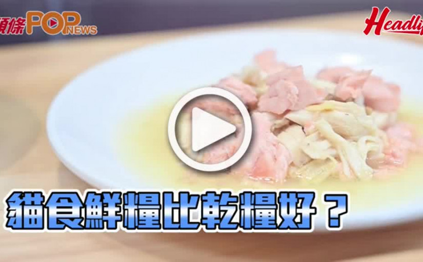 動物新手爸媽  貓食鮮糧比乾糧好？