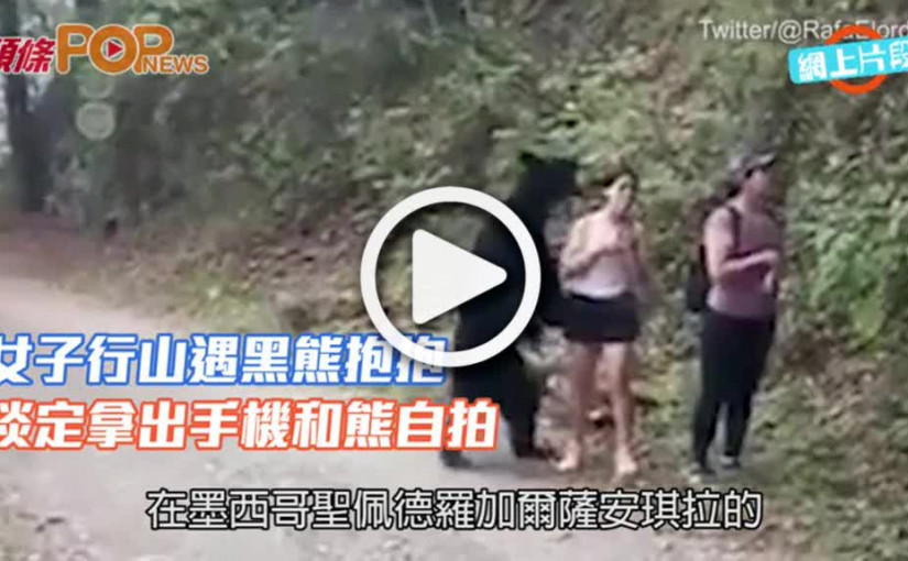 女子行山遇黑熊抱抱  淡定拿出手機和熊自拍