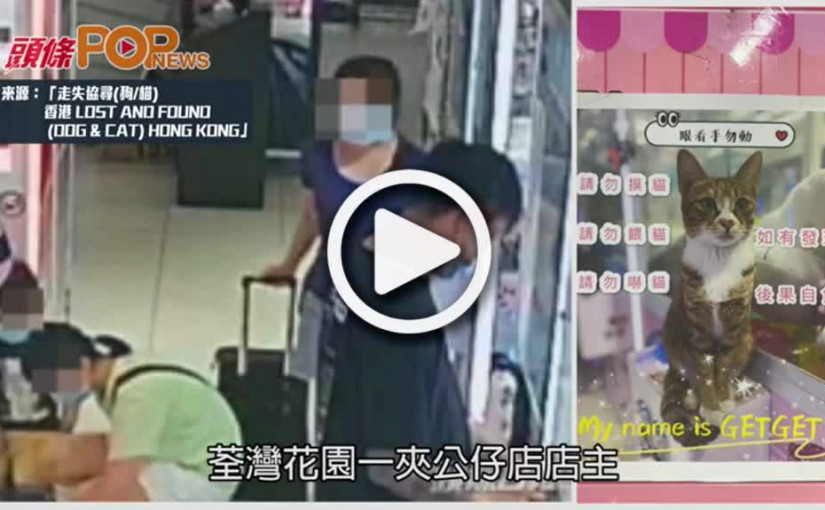 港媽帶子女 涉荃灣夾公仔鋪偷店貓