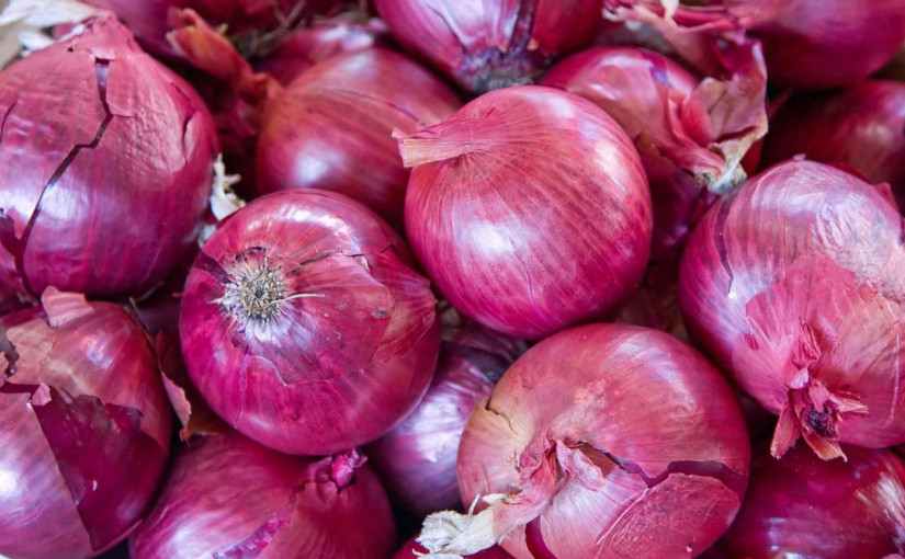 洋蔥引發的沙門氏菌疫情擴大 239加人中招