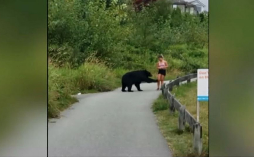 高貴林一遠足徑現黑熊 並走向跑步女子