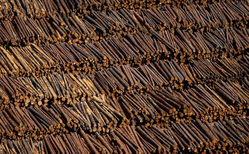 加拿大兩間林木公司第二季財報 收入下滑利潤上升