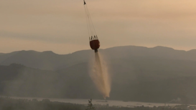 閃電一日引發15宗卑詩山火