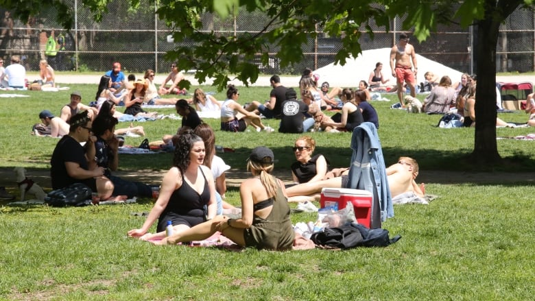 「社交泡泡」恐不安全   連原本支持的專家都提出質疑