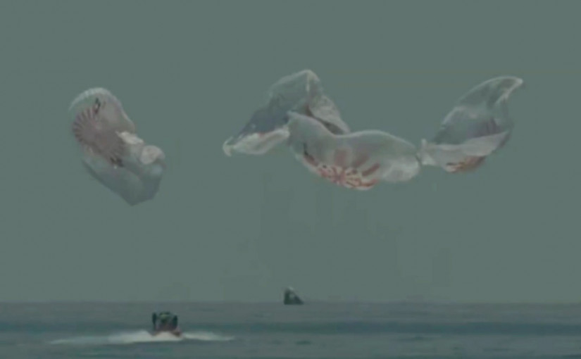 【有片】45年來首次！SpaceX載人太空船以海面濺落方式回到地球