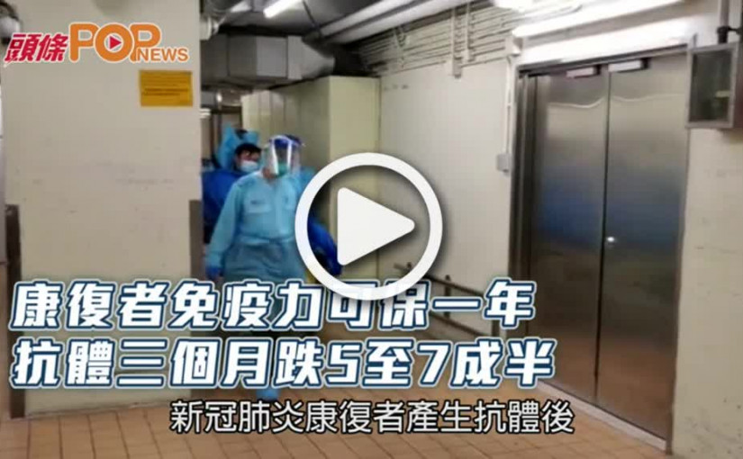 康復者免疫力可保一年 抗體三個月跌5至7成半