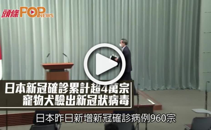 日本新冠確診累計超4萬宗  寵物犬驗出新冠狀病毒