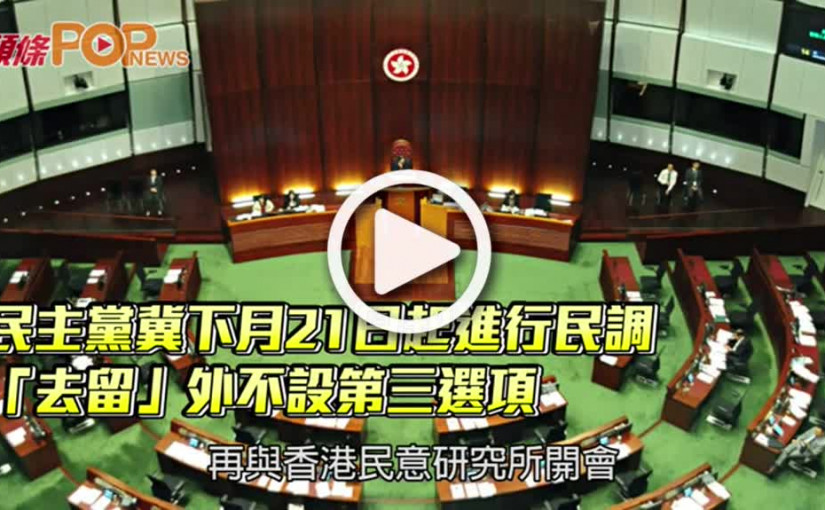 民主黨冀下月21日起進行民調  「去留」外不設第三選項