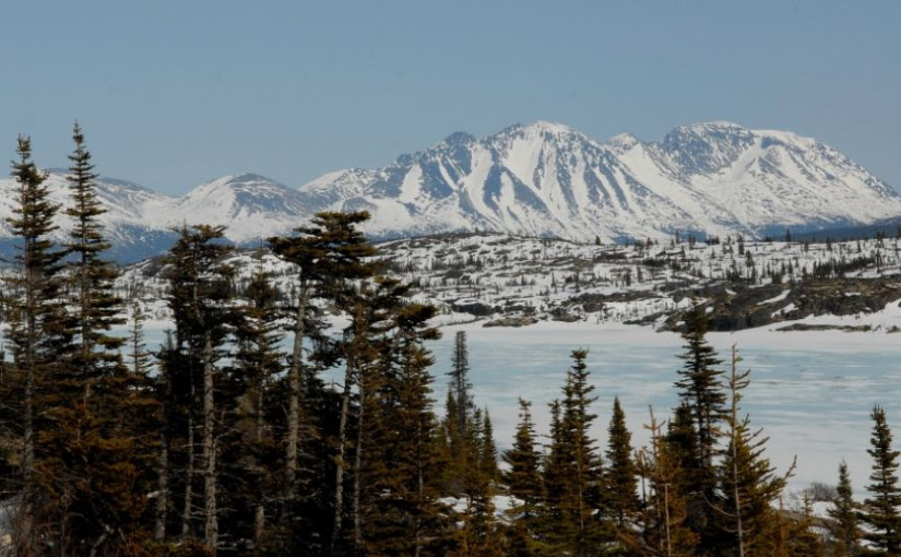 育空50天零確診後失守 非居民染疫兼成首名住院患者