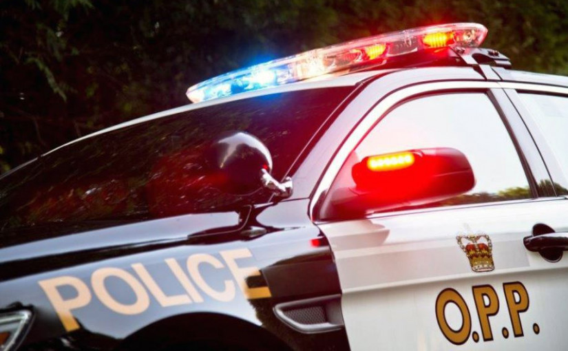 長周末省警發出216張告票