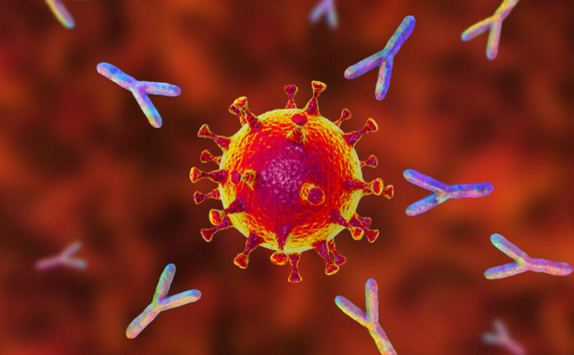美國國立衛生研究院叫停與溫哥華生物技術公司有關的新冠治療試驗