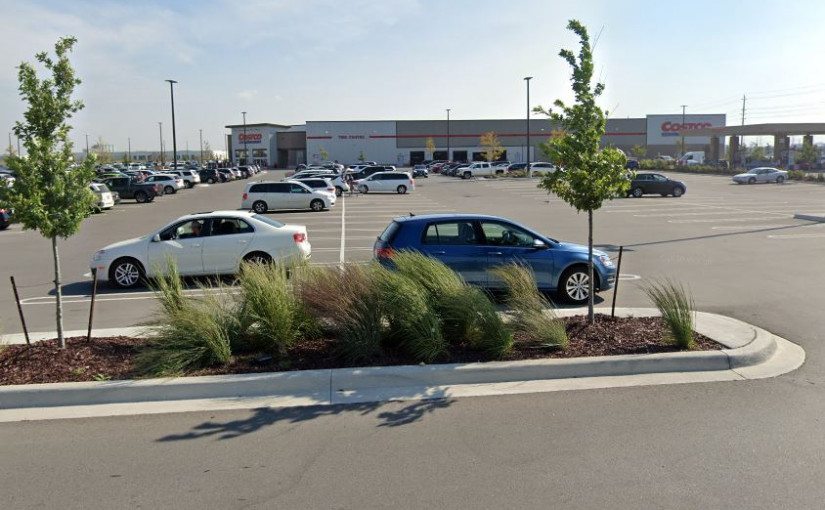 購物車撞花汽車 73歲老公翁被襲